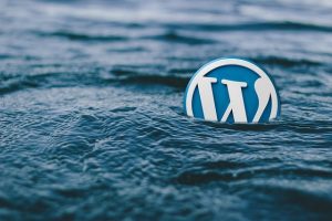 Logo Wordpress immergé sous l’eau.